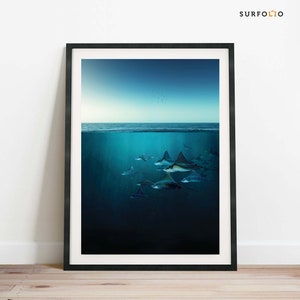 Manta Rochen Druck Manta Wandbild Manta Stachelrochen Kunst Rochen Poster Stachelrochen Stachelrochen Rochen Gruppe Stachelrochen Stachelrochen Rochen