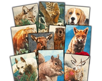 Premium Animal Postcard Set for Postcrossing - 10 Glossy Wildlife Cards to Share the Love & Connect Globally