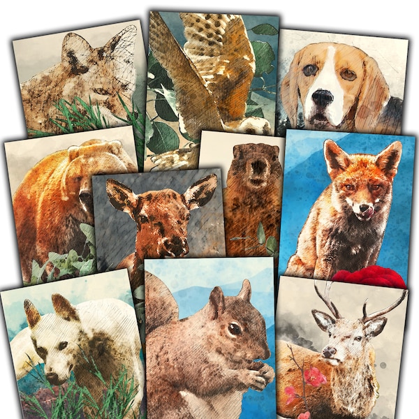 Premium Animal Postcard Set for Postcrossing - 10 Glossy Wildlife Cards to Share the Love & Connect Globally