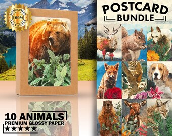 postcard collectors and postcrossing best for animal lovers Pack of 30 different postcards of british wildlife POSTCARDS OF BRITISH ANIMALS postcard collectors and postcrossing best for animal lovers Pack of 30 different postcards of british wildlife POSTCARDS OF BRITISH ANIMALS