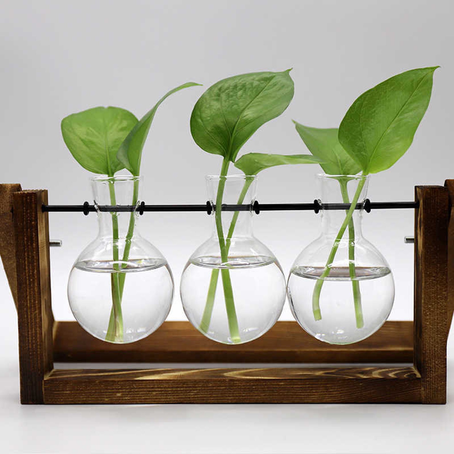 Propagation Station Wood Propagation Stand With Glass Bulbs Etsy