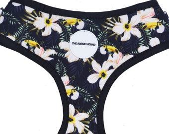 The FRANIGPANI Adjustable Dog Harness