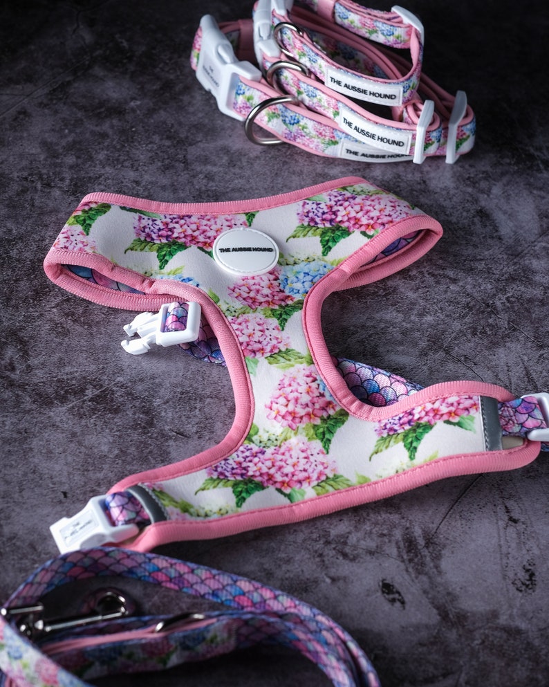 May include: A dog harness, collar, and leash set featuring a floral hydrangea pattern in pink, purple, and blue on a white background. The harness and collar have pink trim and white plastic buckles. The text "THE AUSSIE HOUND" is visible on the collar.