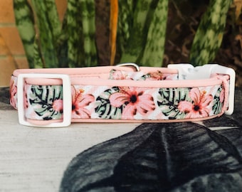 The VIP - Very Insanely Pretty :) Dog Collar