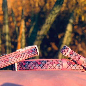 Op de afbeelding: Roze hondenhalsbanden met een zeemeerminstaartpatroon in roze, blauw en paars. De halsbanden hebben witte plastic gespen en worden gepresenteerd op een roze ondergrond.