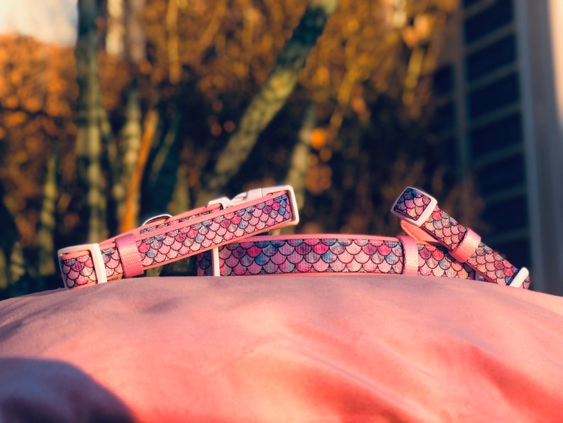 Op de afbeelding: Roze hondenriem en bijpassende lijn met een zeemeerminstaartpatroon in roze, blauwe en paarse tinten. De halsband heeft een witte gesp. De items worden gepresenteerd op een roze ondergrond.