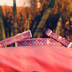Op de afbeelding: Roze dierenhalsbanden en een bijpassende lijn met een zeemeerminstaartpatroon in roze, blauw en paars. De halsbanden hebben witte plastic gespen.