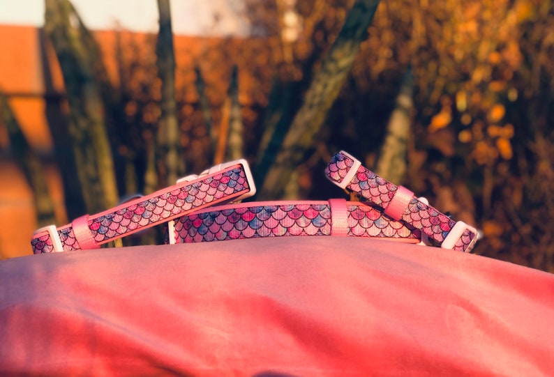 Op de afbeelding: Roze dierenhalsbanden en een bijpassende lijn met een zeemeerminstaartpatroon in roze, blauw en paars. De halsbanden hebben witte plastic gespen.