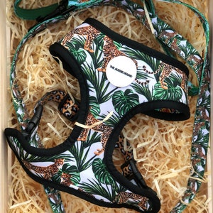 May include: A dog harness and leash set with a jungle-themed pattern. The harness and leash feature a white background with green tropical leaves and leopard print. The set is inside a wooden box with straw.