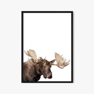 Bull Moose Wall Art, Moose on White Background, Digital Download, Printable Wildlife Art, Wildlife Photography, Cabin Decor, Moose Photo