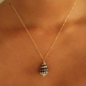 May include: A gold-colored chain necklace with a pendant featuring a black and white seashell. The seashell is teardrop-shaped and has a textured pattern. The necklace is worn around a person's neck.