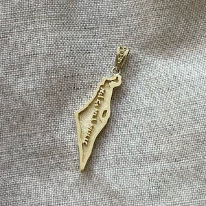 14k Gold Israel Anhänger, Land Israel Anhänger, Gold Anhänger, jüdischer Schmuck, Karte von Israel Anhänger, Israel Designer, Israel Anhänger