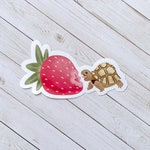 Turtle Stickers