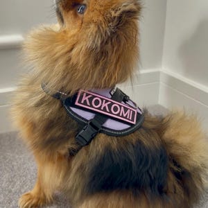 Personalised Dog Name Patch for Harness | Custom Velcro Dog Vest Patch | Anxious, Service Dog, Do Not Pet Badge