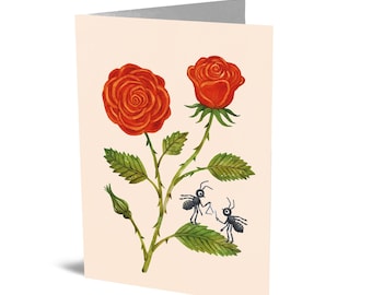 Kaart  juni (roos en mieren)