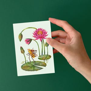 May include: A watercolor illustration of a pink water lily with a yellow center and a bee with brown and yellow stripes sitting on a green lily pad.