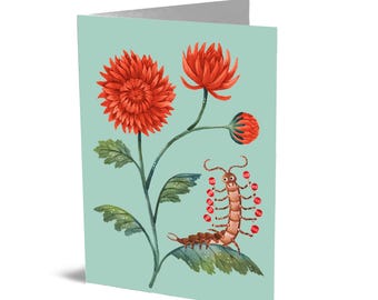 Kaart november (duizendpoot en chrysant)