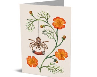 Kaart oktober (kruisspin en cosmea)