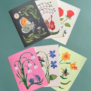 Conjunto de cartas de 6