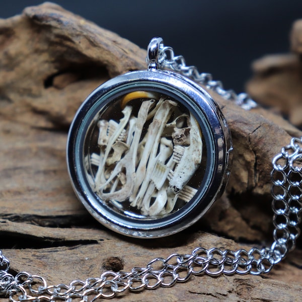 Floating Glass Locket with Mouse Bones | Vulture Culture Fashion | Magnetic Closure made of Metal Alloy | For Men & Women | Oddity Charm