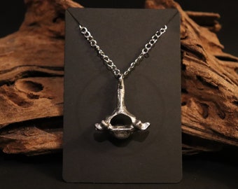 Raccoon Bone Necklace Jewelry | Handmade Vulture Culture Fashion | Thoracic Vertebra Bone Pewter Pendant | For Men & Women | Oddity Charm