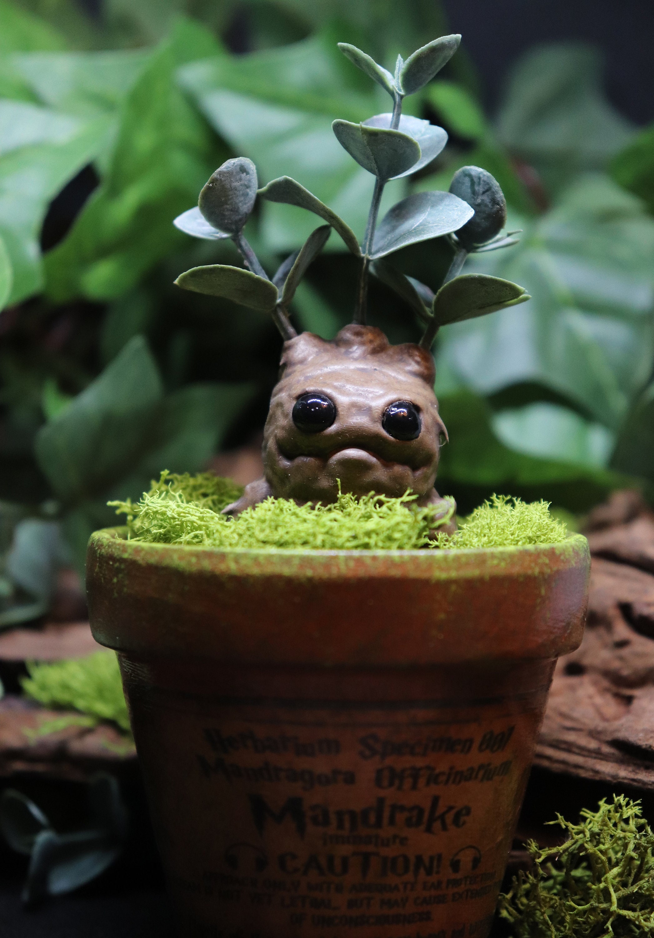 Ooak mandrake roots and other plants in polymer clay -  Portugal