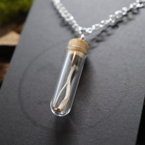 Glass Vial Pendant with Mouse Bones | Vulture Culture Fashion | Cork Top | For Men & Women | Oddity Charm with Stainless Steel Chain