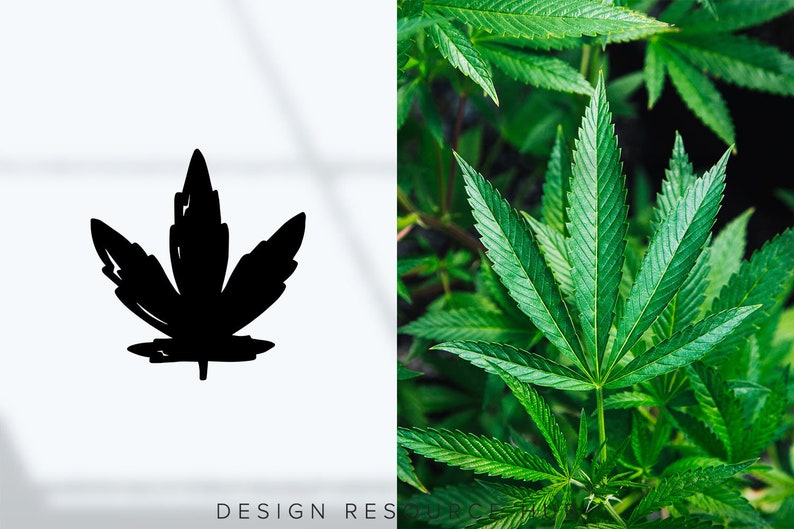 Cannabis Icon Set Website Icon Pack SVG Icons Social Media Icons Line Drawing Icon Bundle Rustic Website Icons Instagram Icons image 4