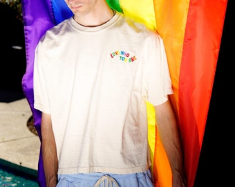 Liebe, die du bist Regenbogen Stolz Middie Tee | LGBTQ+ Pride T-Shirt | Gestickter Stolz | Stolze Stickerei | Besticktes T-Shirt | Ästhetisches T-Shirt