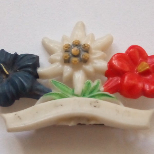 Vintage 1950er Hart Plastik Florales Brosche,Hand-coloriet  brooch in guter Zustand! Beautiful coloured Floral design plastic brooch. Good!