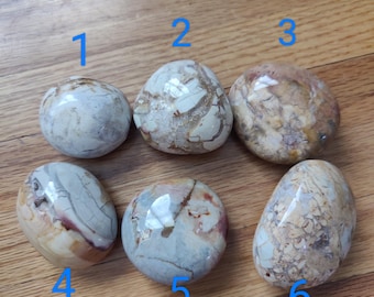 Polished Ibis Jasper Palm Stone: Colorful Brecciated Crystal