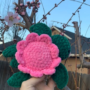 Flower Power Turtle Crochet Plush