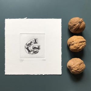 Alfabeto - Lettera G  "Gatti"  - Stampa d’arte, disegno, miniatura. Incisione ad acquaforte e acquatinta stampata e acquerellata a mano