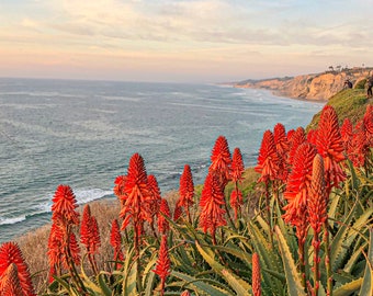 Beautiful La Jolla California views!!! Coastal Photography, Coastal Wall Art, Sea Art, Digital Download