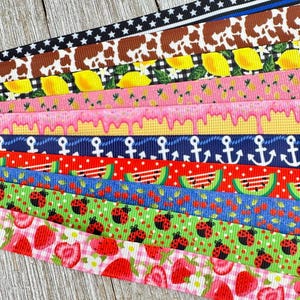 Bekomme genau das, was du siehst! 10 - 1-Yard-Schnitte von 5/8-Zoll-Sommer-Fun-Tierschmetterling, sortiertes Ripsband-Dekor-Party-Schleifen-Sammelalbum-Wagen-Nähen
