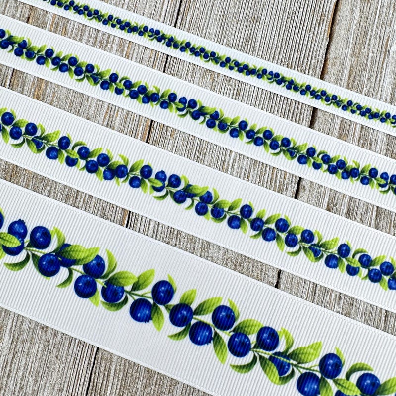 Summer 3/8 Ribbon - Etsy