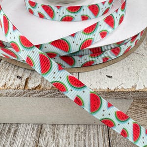 3/8&quot; Width - Watermelon Wedge on Pale Blue Printed Grosgrain Ribbon - Craft -  Hair Bow - Gift Wrap - Tags - Hair Bow - Streamer - Dog Bow