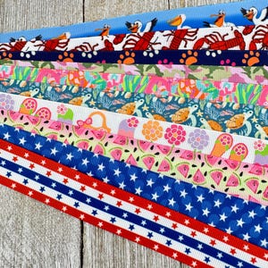 Bekomme genau das, was du siehst! 10 - 1-Yard-Schnitte von 7/8-Zoll-Sommerspaß, Obst, Tierdruck, sortiertes Ripsband - Gepäckanhänger - Handwerk - Halsbänder