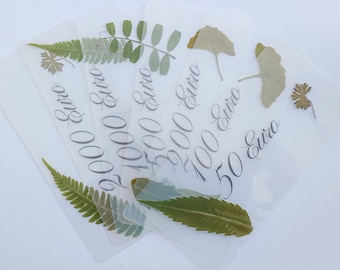 Placeholder set plants design budget cash envelopes cash envelopes