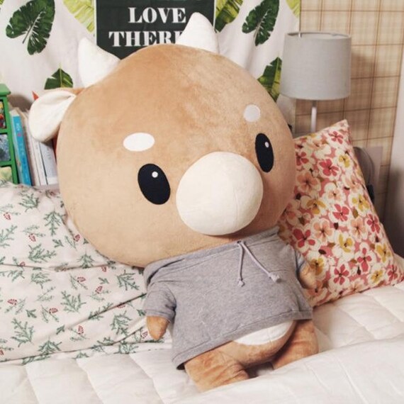 whats wrong with secretary kim plush