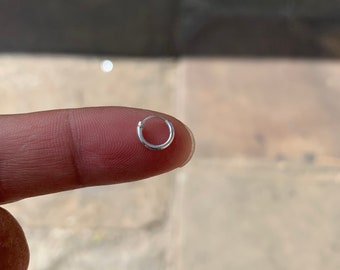 May include: A small, silver hoop nose ring.