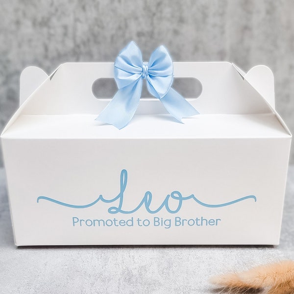 Big brother present, Newborn gift box, new baby present, new baby gift bag, present for newborn, promoted to big brother, big brother gift