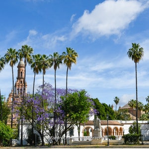 Spanish Sights, Seville, Spain, Spain Architecture, Travel pain, Colours of Spain, Palm trees