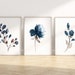 see more listings in the PRINTS | BOTANICAL  section