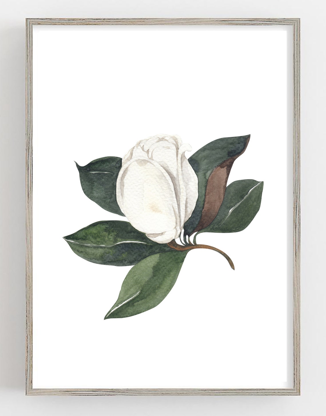 Magnolia Prints Set Of 3 Prints Botanical Prints | Etsy