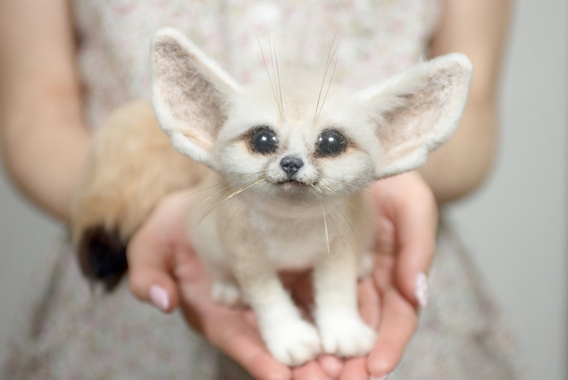 Fennec fox Desert animals The desert foxes Fennec fox pet Gift Etsy