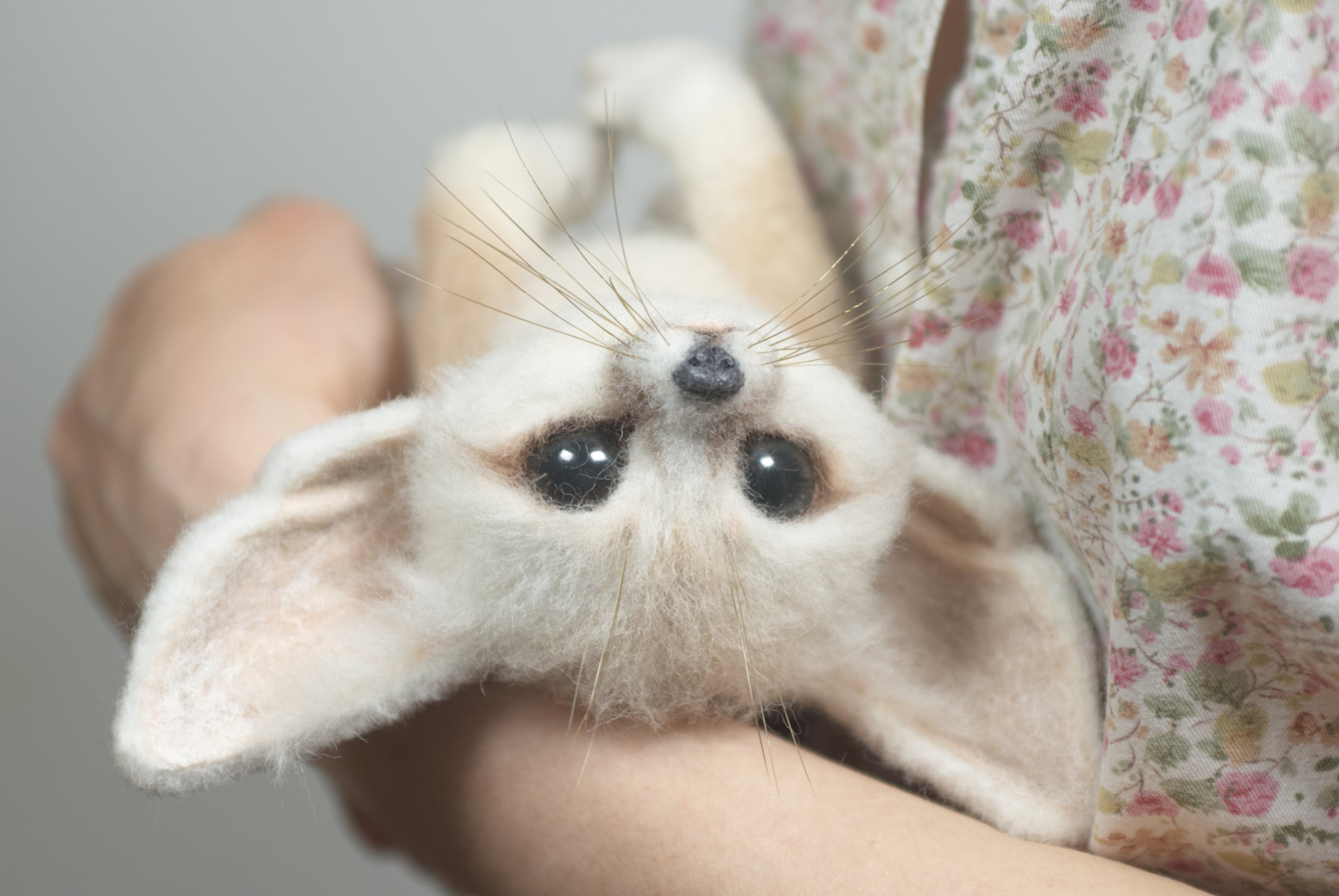 Fennec Renard Animaux Du Desert Les Renards Du Desert Fennec Etsy Fennec Renard Animaux Du Desert Les Renards Du Desert Fennec Etsy
