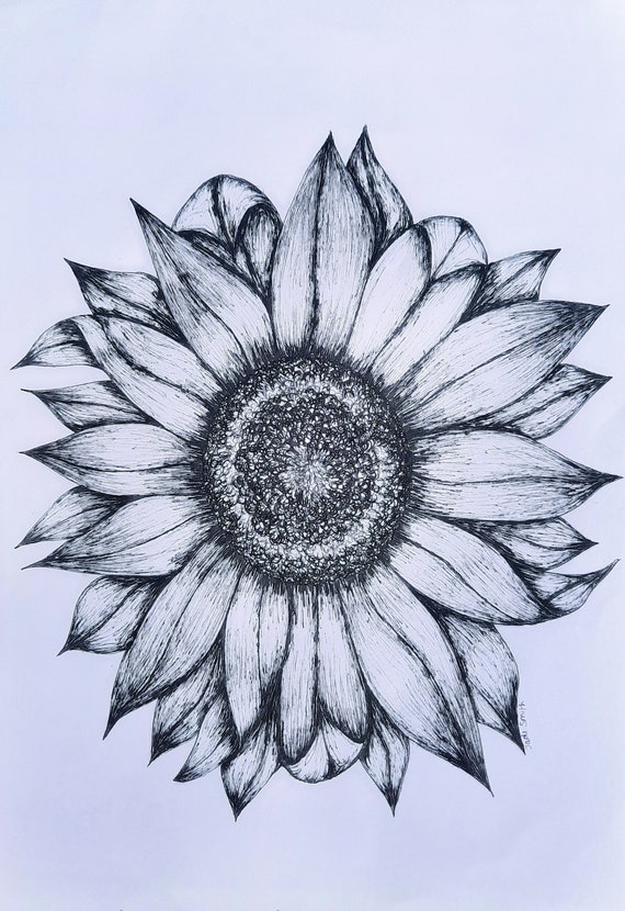 Fineliner Pen Sunflower Drawing Ireland