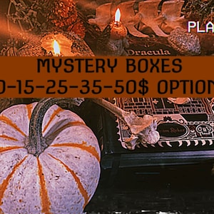 Puede incluir: Primer plano de una calabaza blanca con rayas naranjas, un libro titulado "Drácula" de Bram Stoker y un cartel que dice "MYSTERY BOXES 10-15-25-35-50$ OPTIONS".