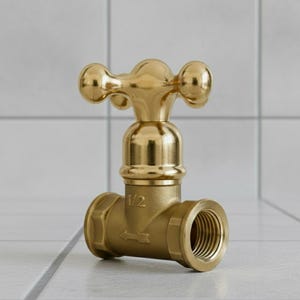 以下が含まれることがあります： 十字型のハンドルが付いた金色の蛇口。 蛇口は、ねじ付きの開口部と1/2のマーキングが付いた円筒形の本体をしています。 矢印は水の流れの方向を示しています。 蛇口は真鍮製です。